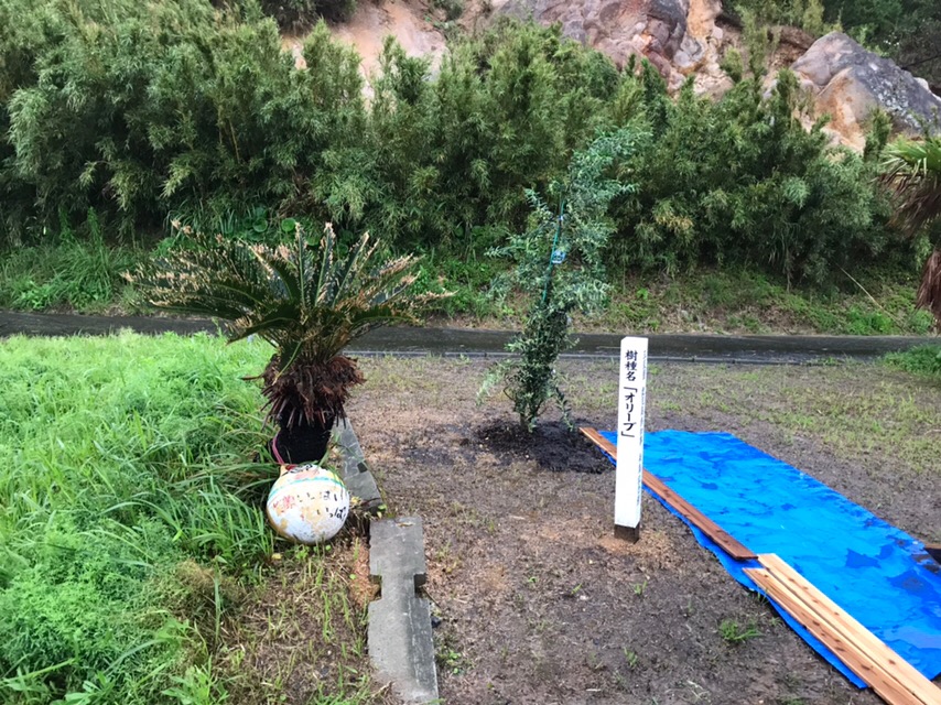 十島村立平島学園